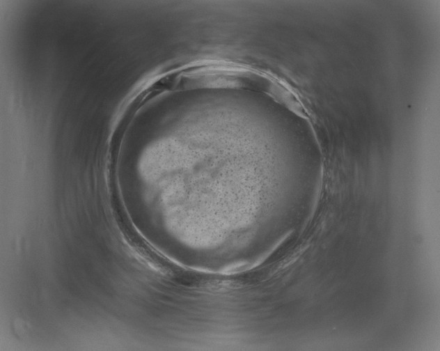 X0000082990152200702160032