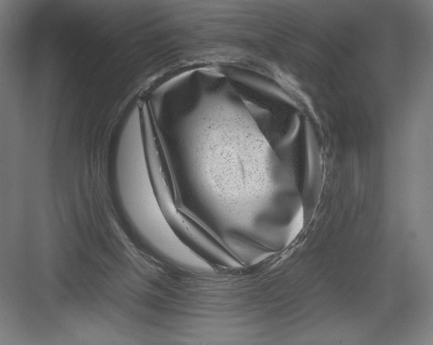 X0000082990154200702160032