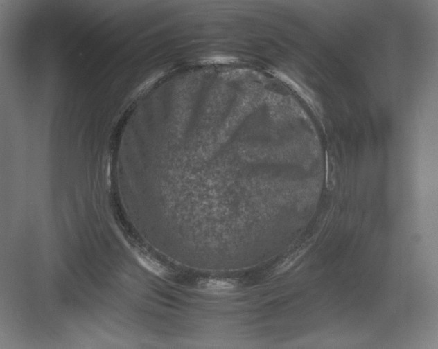 X0000082990157200702160032