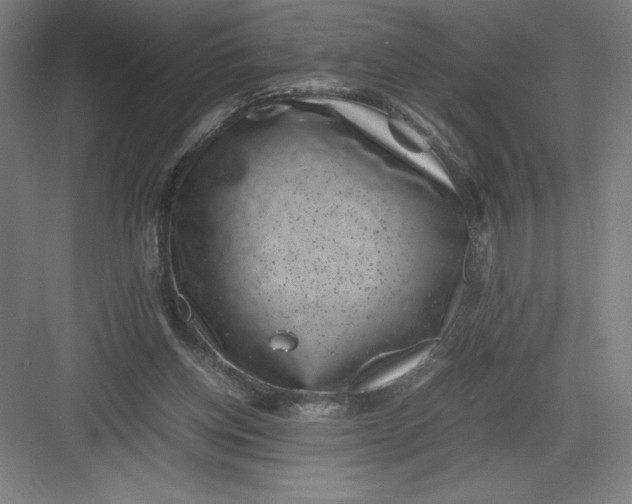 X0000082990158200702160032