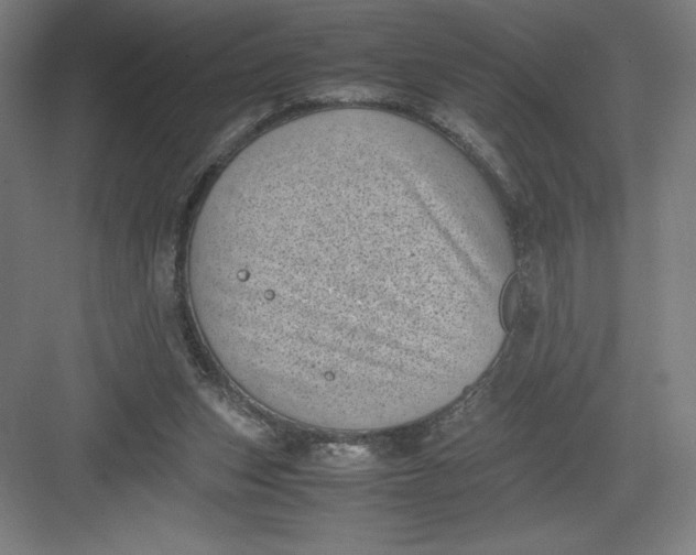 X0000082990159200702160032