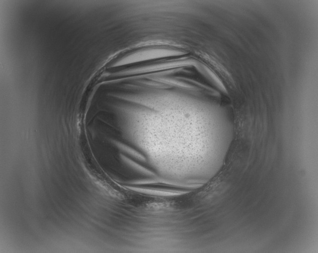 X0000082990160200702160032