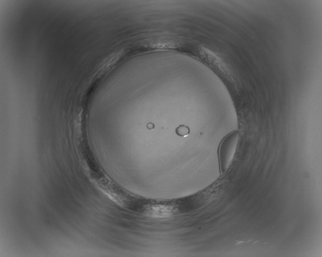 X0000082990163200702160033