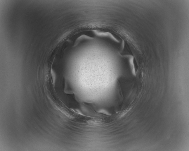 X0000082990164200702160033