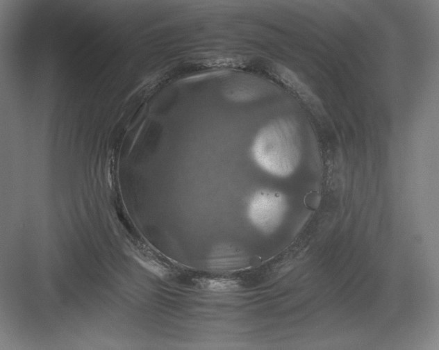 X0000082990165200702160033