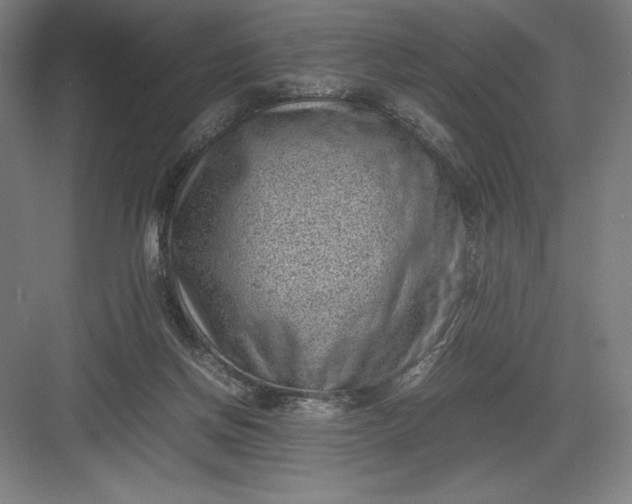 X0000082990166200702160033