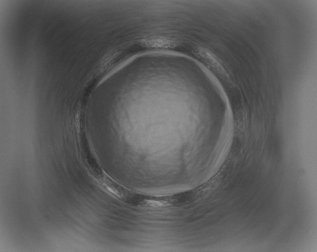 X0000082990167200702160033