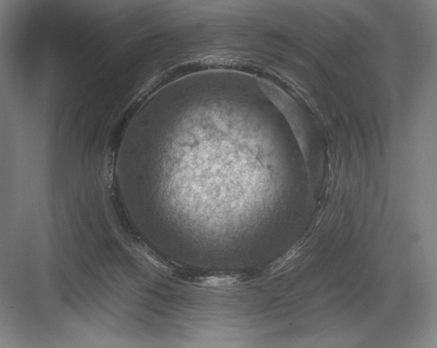 X0000082990168200702160033