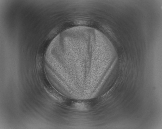 X0000082990171200702160033