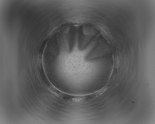 X0000082990172200702160033