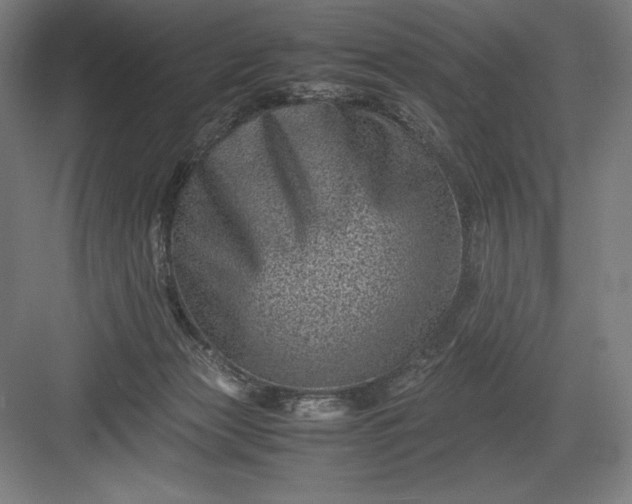 X0000082990173200702160033