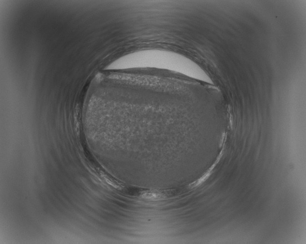 X0000082990174200702160033