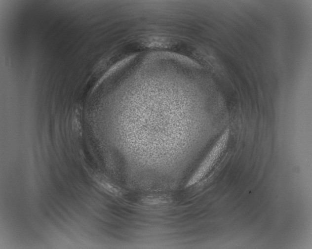 X0000082990175200702160033