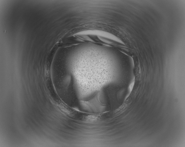 X0000082990176200702160033