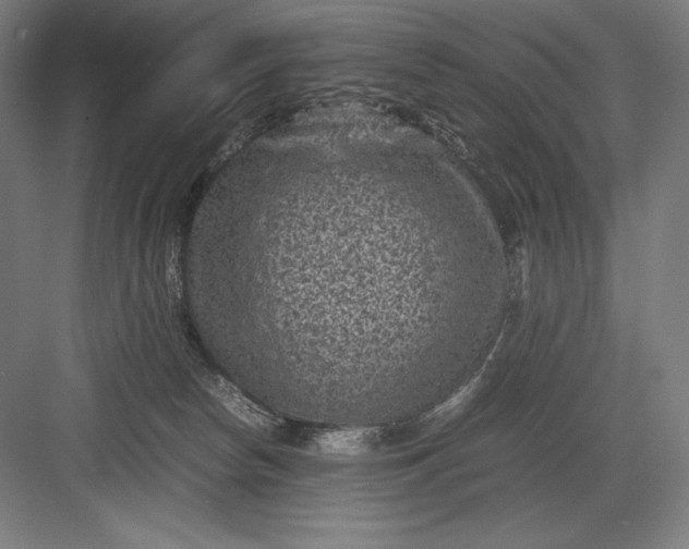 X0000082990178200702160033