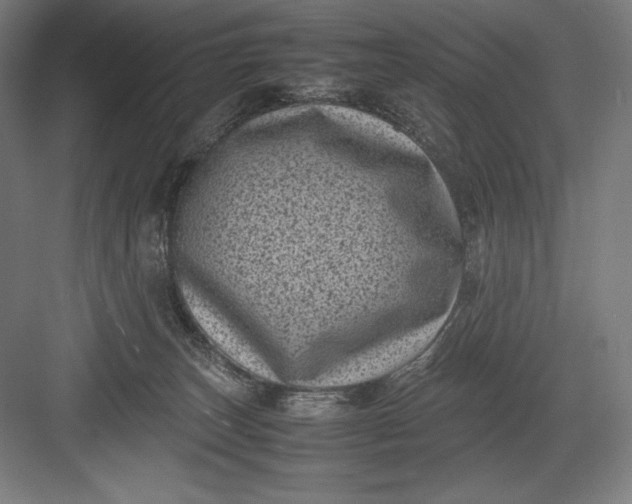 X0000082990179200702160033