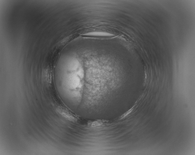 X0000082990180200702160033