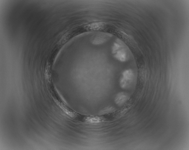 X0000082990181200702160033