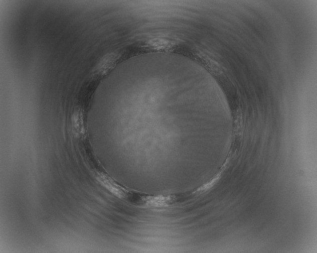 X0000082990182200702160033