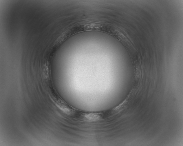 X0000082990183200702160033