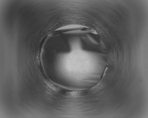 X0000082990184200702160033