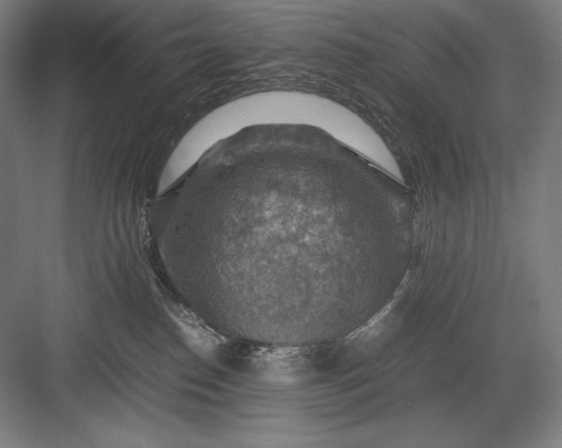 X0000082990186200702160033