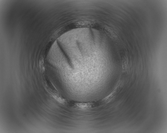 X0000082990187200702160033