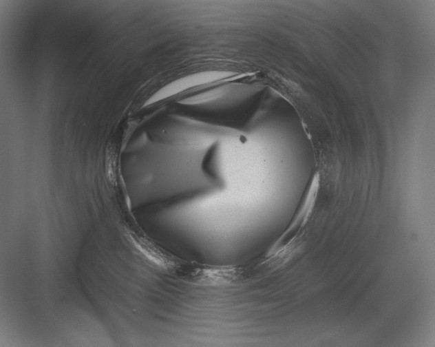 X0000082990188200702160033