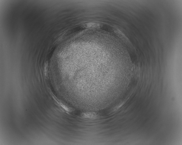 X0000082990189200702160033