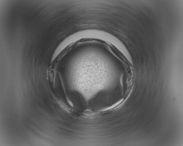 X0000082990190200702160033