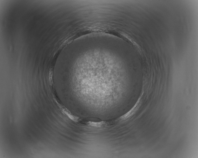 X0000082990192200702160033