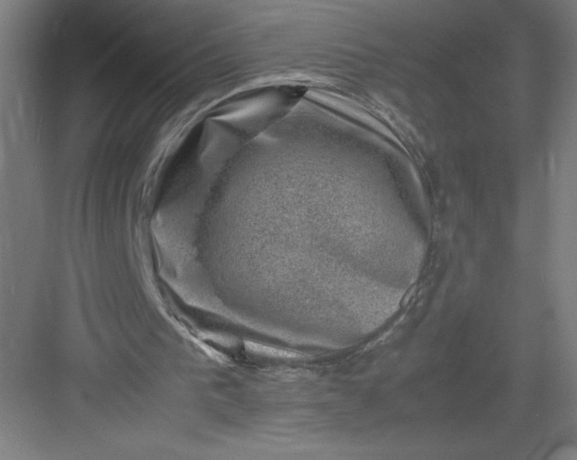 X0000082990193200702160032