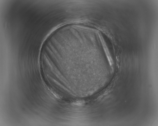 X0000082990196200702160032