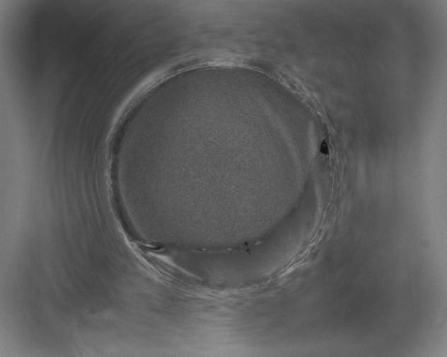 X0000082990197200702160032