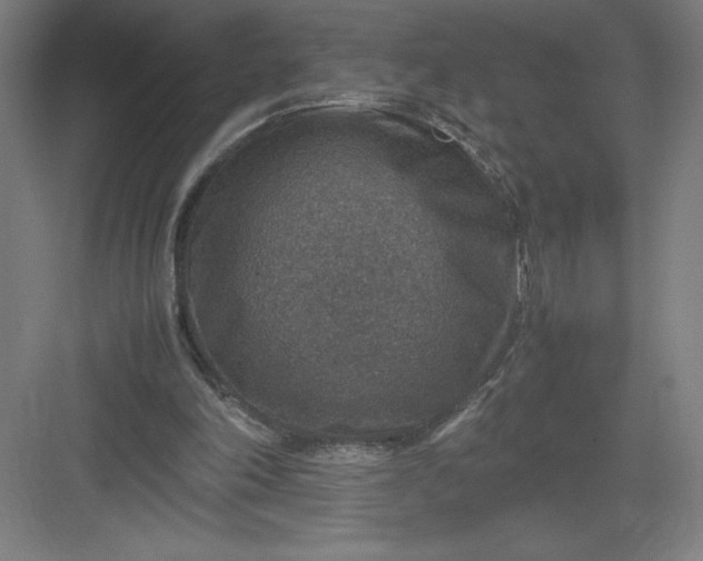 X0000082990198200702160032