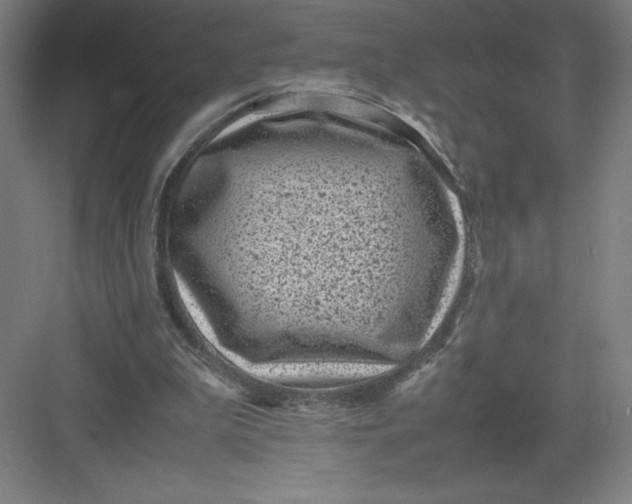 X0000082990199200702160032