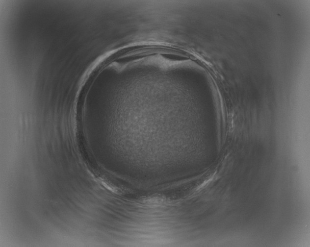 X0000082990200200702160032