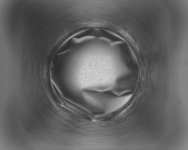 X0000082990201200702160032