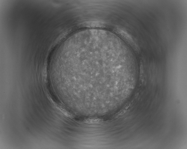 X0000082990202200702160032