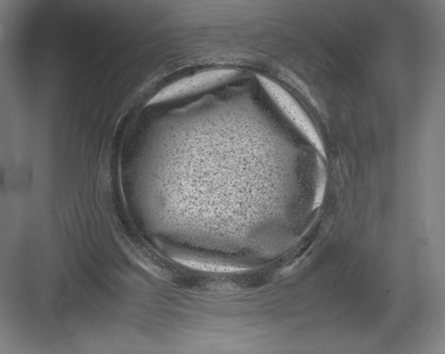 X0000082990203200702160032