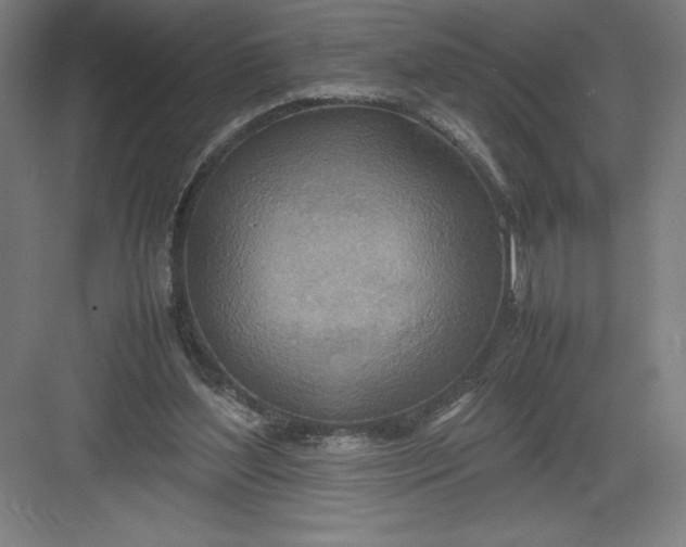 X0000082990204200702160032