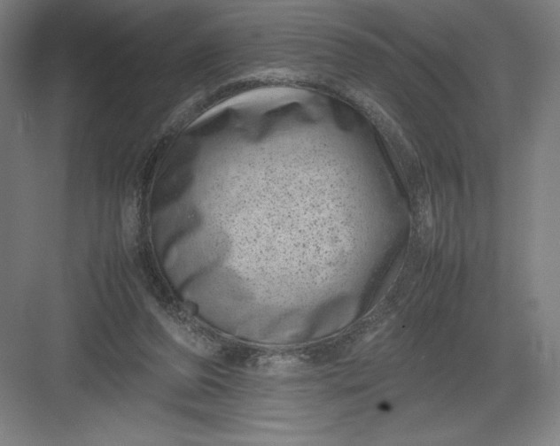 X0000082990208200702160032