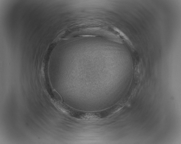 X0000082990209200702160032