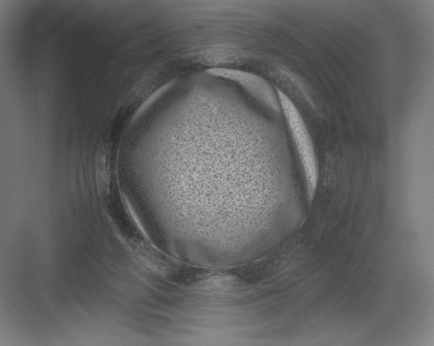 X0000082990210200702160032