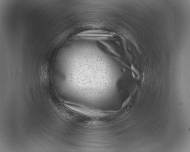 X0000082990212200702160032