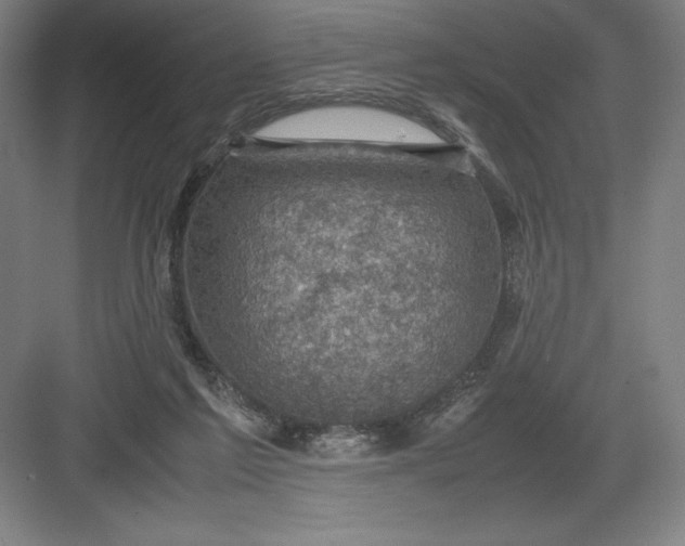 X0000082990213200702160032