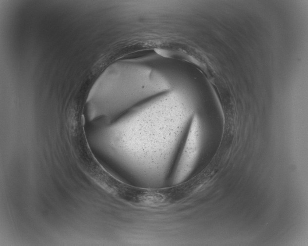 X0000082990215200702160032