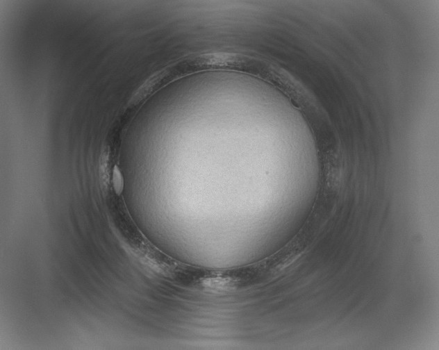 X0000082990216200702160032