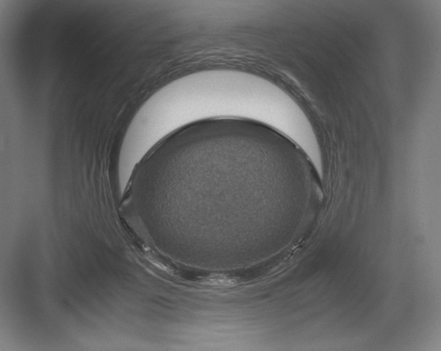 X0000082990217200702160032