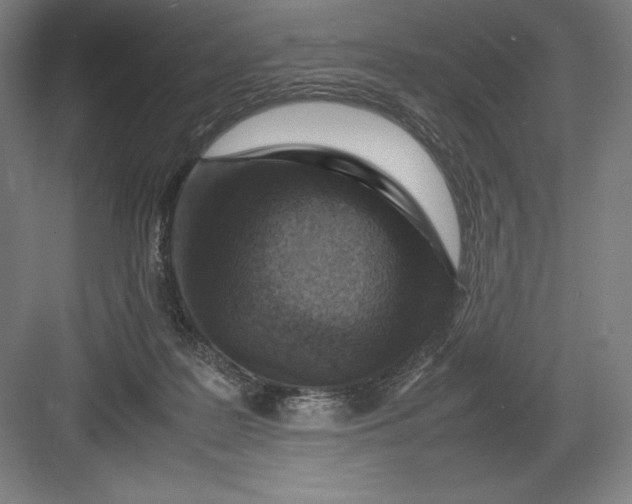 X0000082990219200702160032